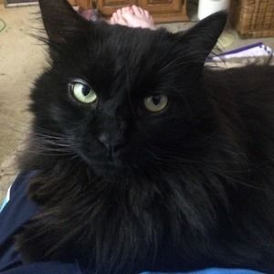 Meet your Posher, Cindy